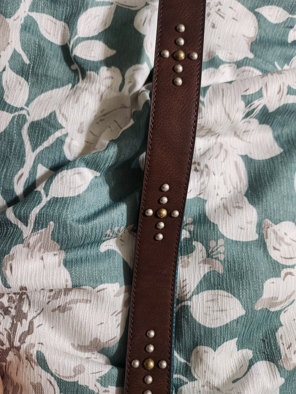 catchfly studio stylish brown